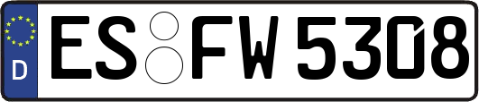 ES-FW5308