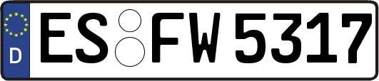 ES-FW5317