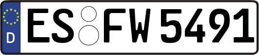 ES-FW5491