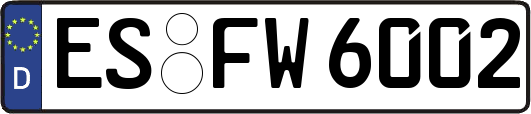 ES-FW6002