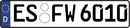 ES-FW6010