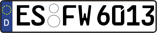 ES-FW6013