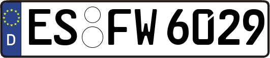 ES-FW6029