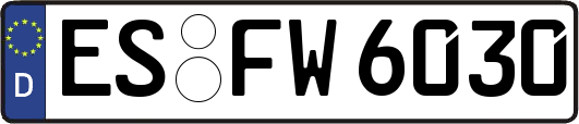 ES-FW6030