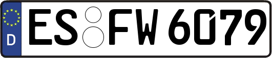 ES-FW6079