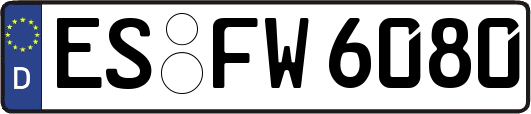 ES-FW6080