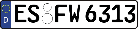 ES-FW6313