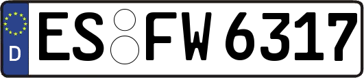 ES-FW6317