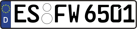 ES-FW6501