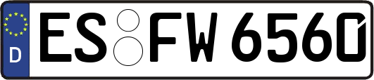ES-FW6560