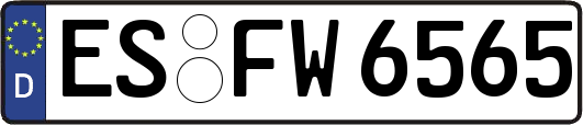 ES-FW6565
