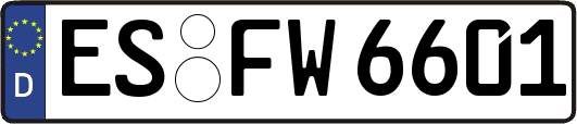 ES-FW6601
