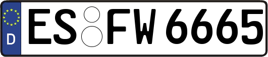 ES-FW6665