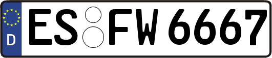 ES-FW6667