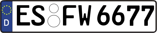 ES-FW6677
