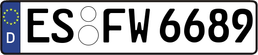ES-FW6689