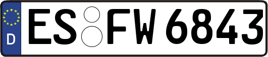 ES-FW6843