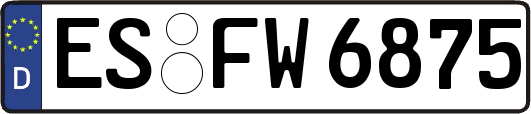 ES-FW6875