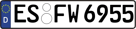 ES-FW6955