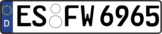 ES-FW6965