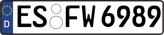 ES-FW6989