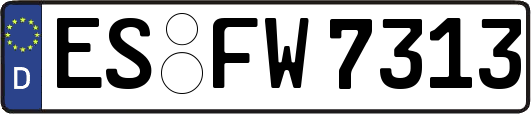 ES-FW7313