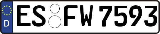 ES-FW7593