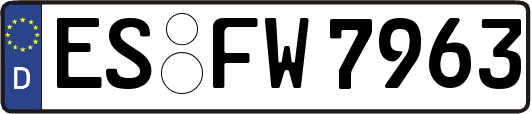 ES-FW7963