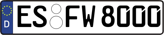 ES-FW8000