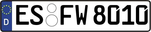 ES-FW8010