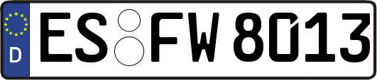 ES-FW8013