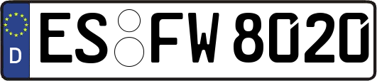 ES-FW8020