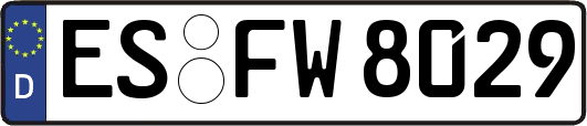 ES-FW8029