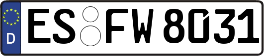 ES-FW8031