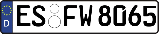 ES-FW8065