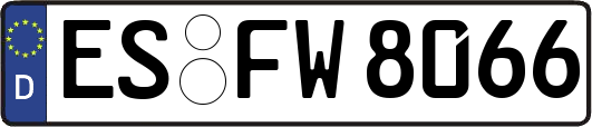 ES-FW8066