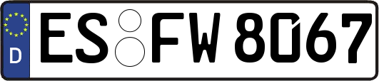 ES-FW8067