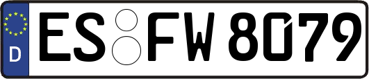 ES-FW8079