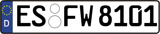 ES-FW8101