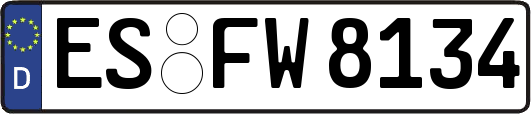 ES-FW8134