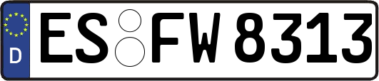 ES-FW8313