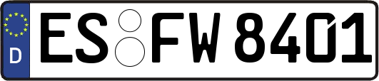 ES-FW8401