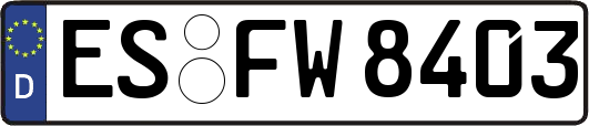 ES-FW8403