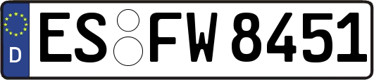 ES-FW8451