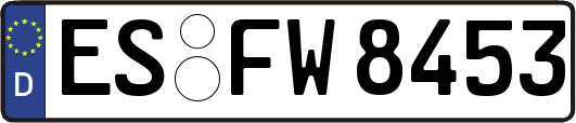 ES-FW8453