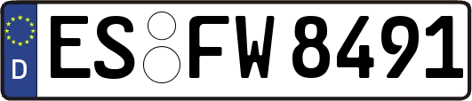 ES-FW8491