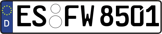 ES-FW8501