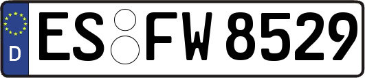 ES-FW8529