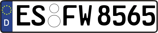 ES-FW8565