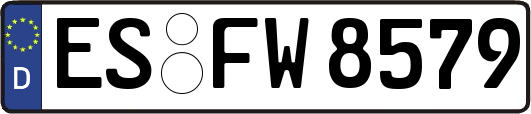 ES-FW8579